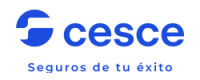 Cesce-Seguros